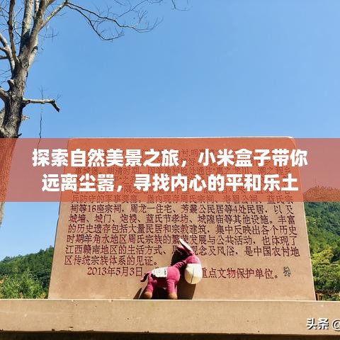 探索自然美景之旅，小米盒子带你远离尘嚣，寻找内心的平和乐土