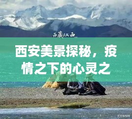 西安探秘，疫情之下的心灵之旅，寻找宁静绿洲的启程之路