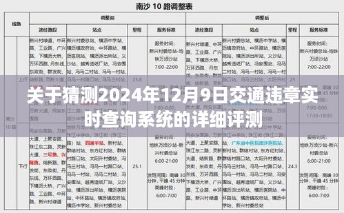 2024年交通违章实时查询系统深度评测，用户体验与技术展望