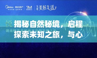 揭秘自然秘境，启程探索未知之旅，实时定位文案生活视频app带你领略自然美景的独特魅力