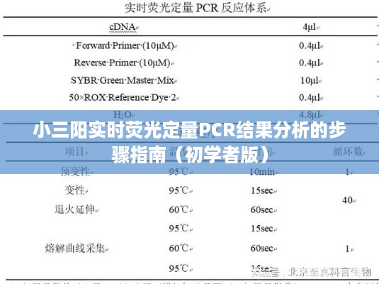 小三阳实时荧光定量PCR结果分析步骤详解（初学者指南）