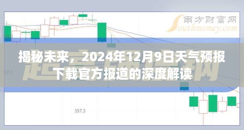 2024年12月10日 第62页