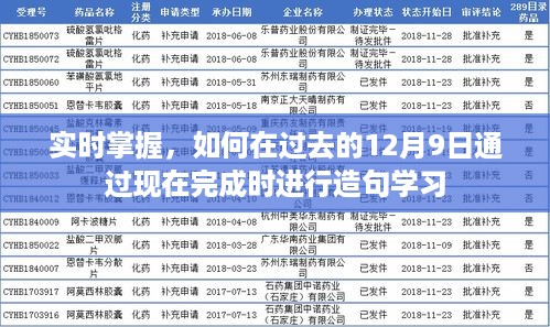 掌握实时造句学习技巧，如何在过去的12月9日通过现在完成进行时提升语言技能