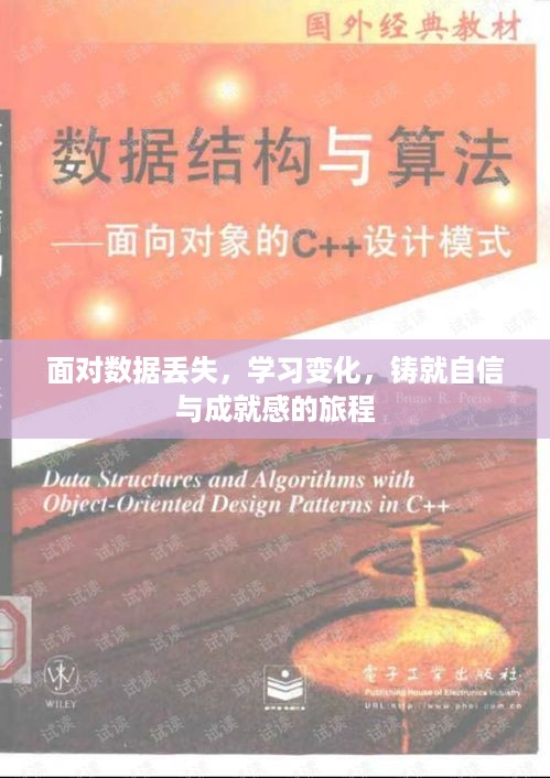 数据丢失的挑战与自信成就之路，学习变化与自我重塑之旅