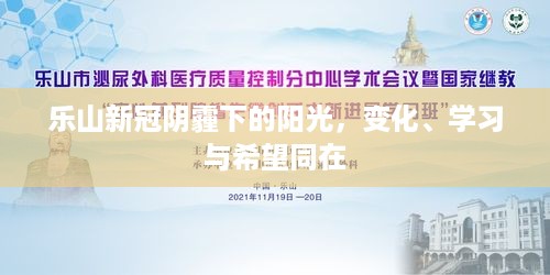 乐山阴霾下的阳光，变迁、学习与希望的交响曲