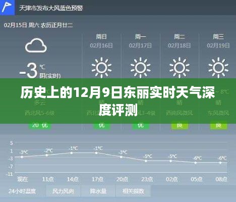 历史上的12月9日东丽实时天气深度解析与评测