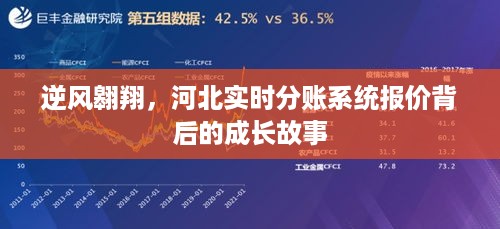 河北实时分账系统成长故事，逆风翱翔的报价与成长之路