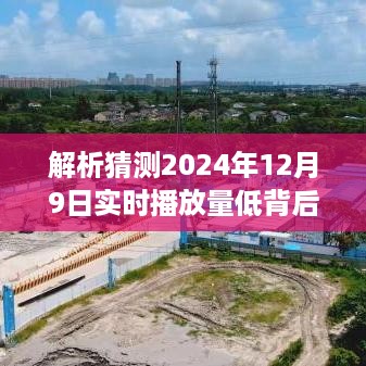 2024年12月9日实时播放量低背后的意义解析猜测