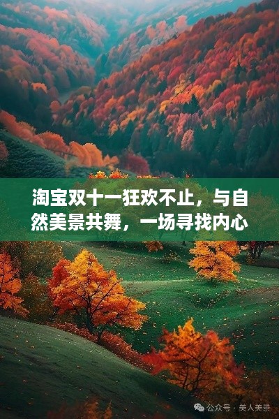 淘宝双十一狂欢与大自然美景的奇妙旅程，寻找内心平静的旅程