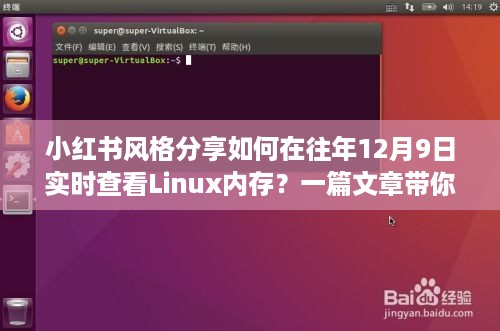 小红书风格指南，如何在往年12月9日实时掌握Linux内存查看技巧？入门教程分享！