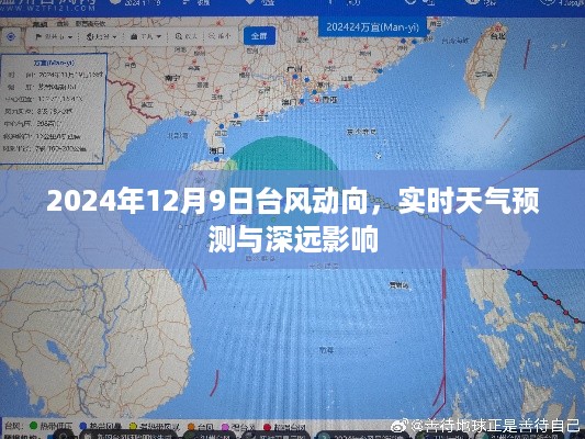 2024年台风动向，实时预测与深远影响