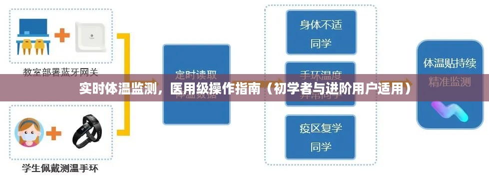 实时体温监测操作指南，医用级教程，适合初学者与进阶用户