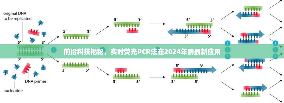 前沿科技揭秘，实时荧光PCR法在2024年的最新应用进展