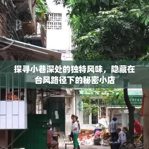 探寻台风路径下隐藏小巷的绝妙风味小店