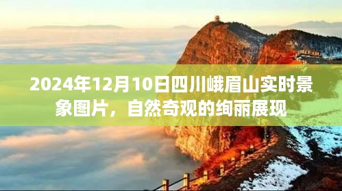 四川峨眉山实时景象图片，自然奇观的绚丽展现（2024年12月10日）