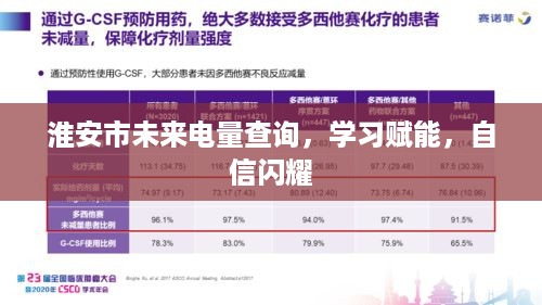 淮安市电量查询系统助力学习赋能，自信之光闪耀未来