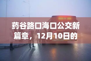 药谷路口海口公交新篇章，变革与影响揭秘（12月10日起实施）