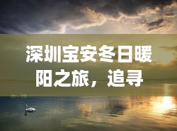 深圳宝安冬日暖阳之旅，探寻自然美景，解锁内心宁静的力量