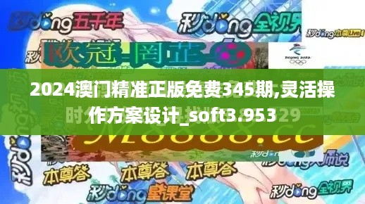 2024澳门精准正版免费345期,灵活操作方案设计_soft3.953