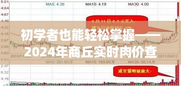 初学者指南，轻松掌握2024年商丘实时肉价查询攻略