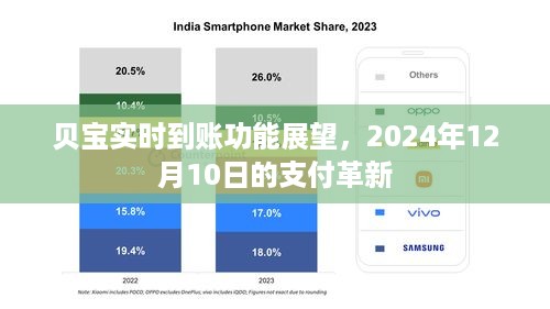 贝宝实时到账功能展望，支付革新的未来蓝图（2024年12月10日）