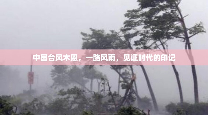 中国台风木恩，风雨历程，时代印记的见证