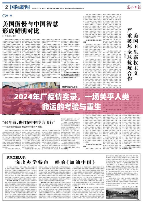 2024年厂疫情实录，人类命运的考验与重生