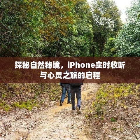 探秘自然秘境，iPhone实时聆听的心灵之旅启程