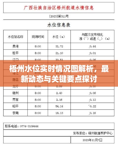 梧州水位实时情况解析及最新动态探讨