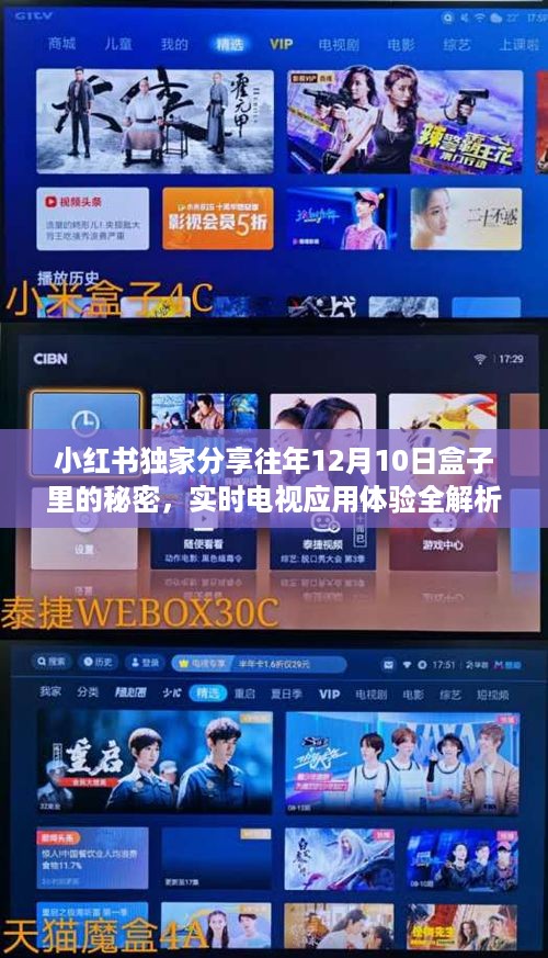 小红书揭秘历年12月10日盒子秘密，电视应用体验深度解析！