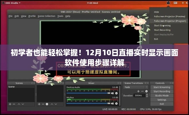 初学者指南，12月10日直播实时显示画面软件使用详解