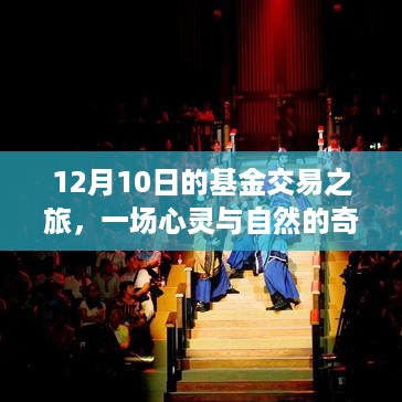 12月10日基金交易之旅，心灵与自然的交融邂逅