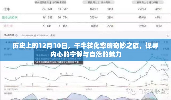 探寻自然魅力与内心宁静的奇妙之旅，千牛转化率的启示——历史上的12月10日