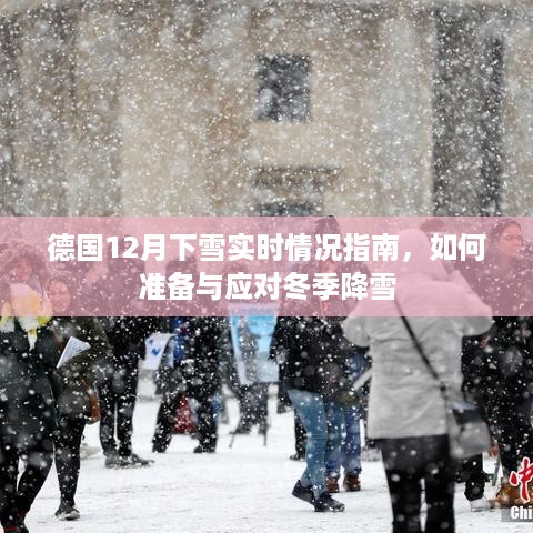 德国冬季降雪实时指南，准备与应对12月下雪的必备知识