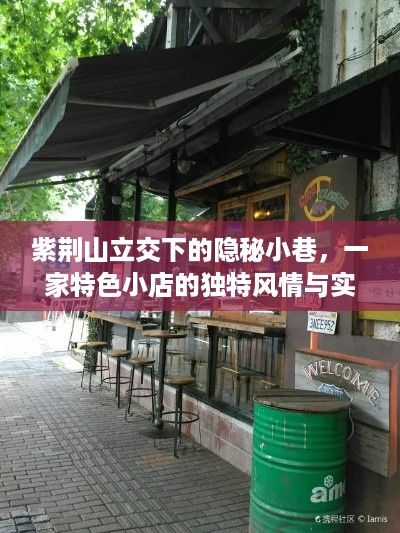 紫荆山立交隐秘小巷的特色小店，实时风情与路况之旅