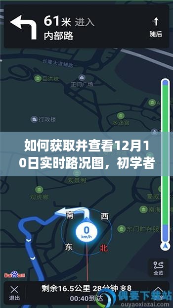 初学者与进阶用户指南，如何获取并查看12月10日实时路况图全攻略