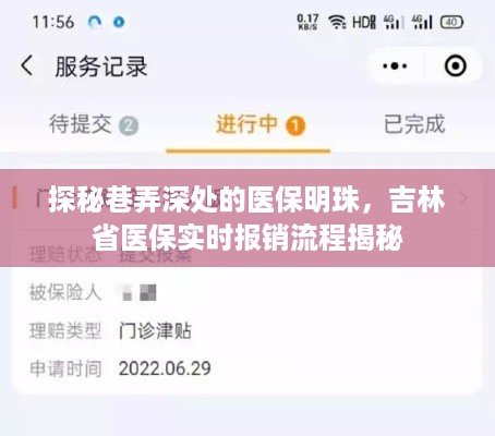 吉林省医保实时报销流程揭秘，巷弄深处的医保明珠探秘
