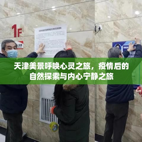 天津心灵之旅，疫情后的自然探索与内心宁静之旅