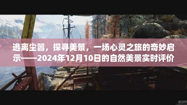 逃离尘嚣的心灵之旅，自然美景的奇妙启示与实时评价（XXXX年XX月XX日）