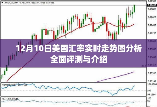 美国汇率实时走势图分析评测与介绍（12月10日）