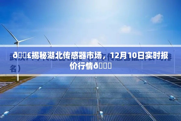 揭秘湖北传感器市场，最新实时报价行情动态（12月10日）