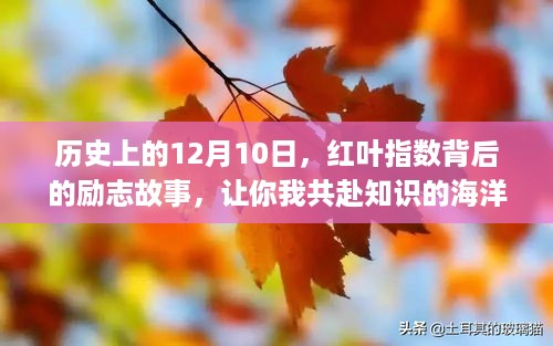 励志故事背后的红叶指数，共赴知识的海洋，拥抱变化的力量在历史的12月10日绽放光彩