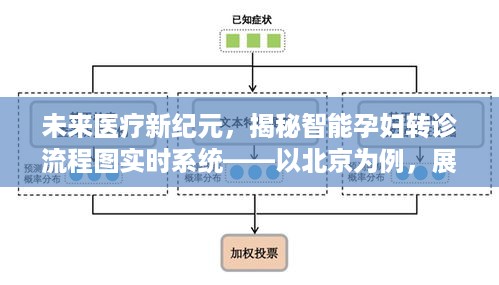 智能孕妇转诊流程图实时系统揭秘，北京医疗新纪元展望2024科技变革