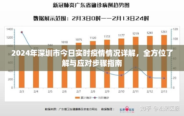 2024年12月11日 第22页