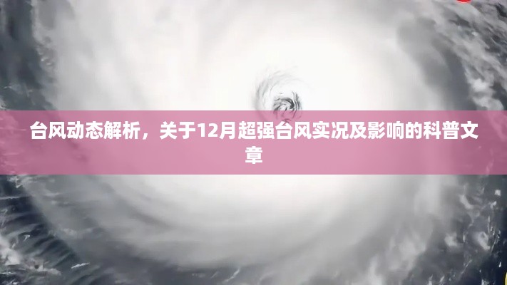 台风动态深度解析，超强台风实况与影响科普文章