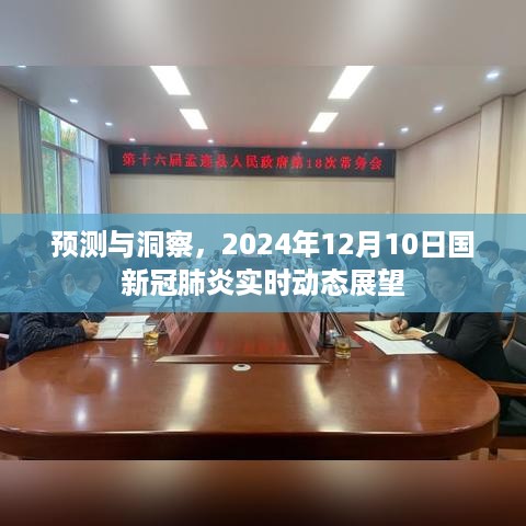 预测与洞察，2024年12月10日国新冠肺炎实时动态展望报告