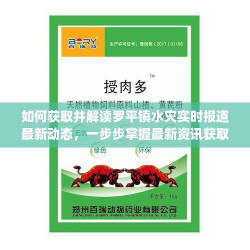 罗平镇水灾最新实时报道解读，掌握最新资讯获取技能一步步引领关注