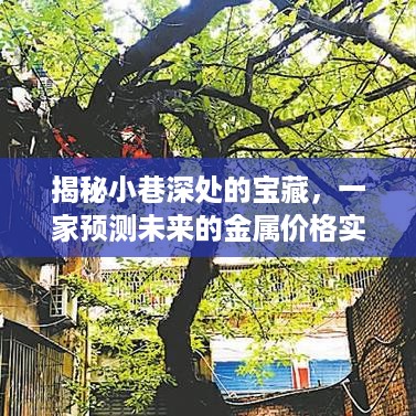 小巷深处的宝藏，金属价格实时报价预测网站大揭秘