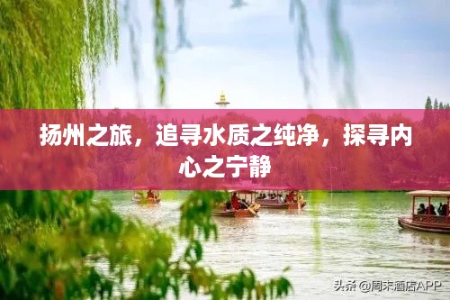 扬州之旅，追寻水质纯净与内心宁静的旅程