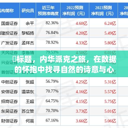 数据中的自然诗意与心灵宁静之旅，内华派克之旅